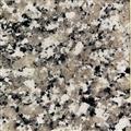 Granite Worktop Luna Pearl Sample